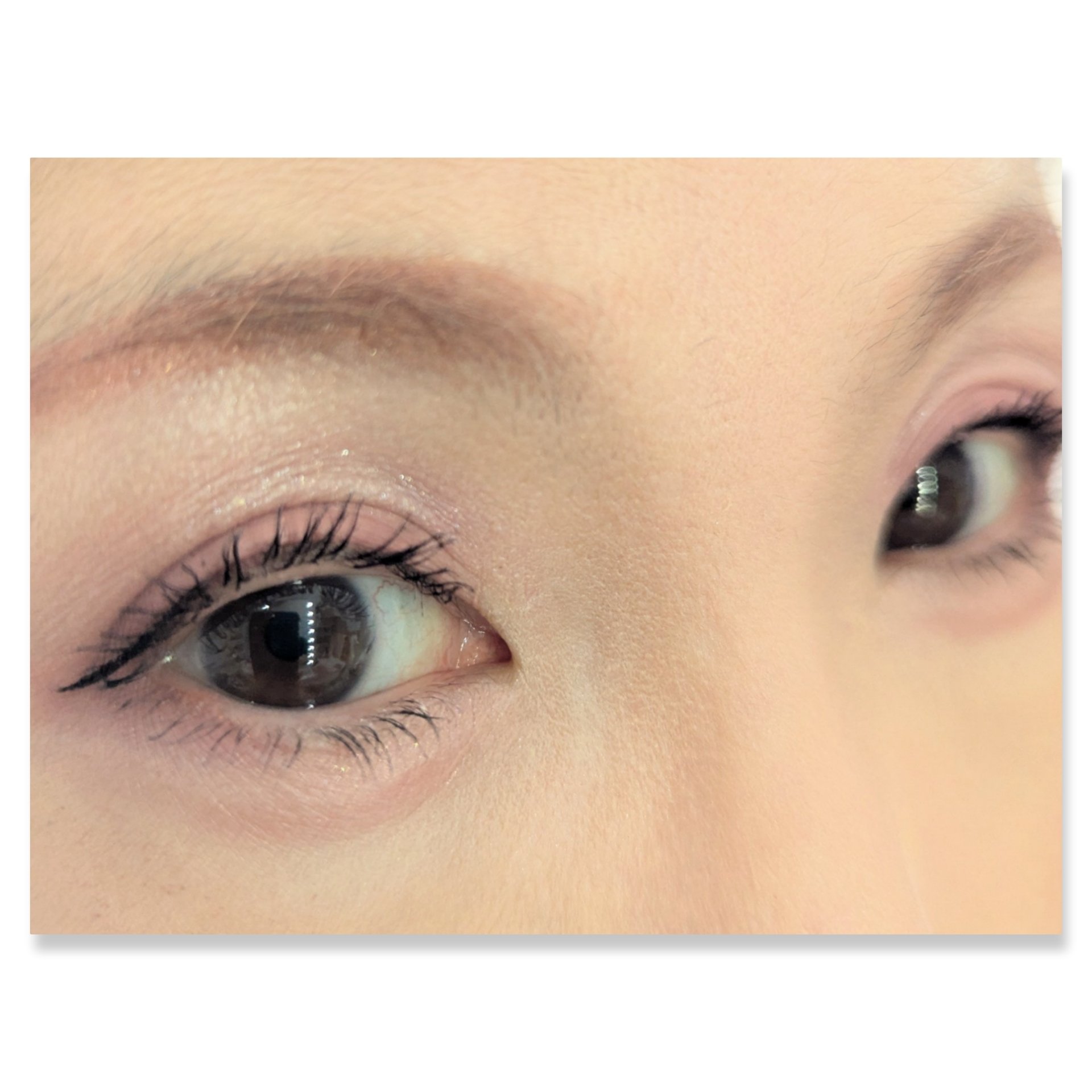 セレクト アイカラー Ｎ/ESPRIQUE/単色アイシャドウを使ったクチコミ（2枚目）