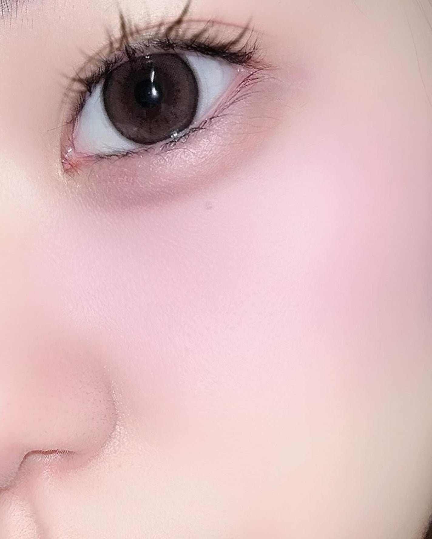 エバーカラーワンデー ナチュラル/エバーカラー/ワンデー(1DAY)カラコンを使ったクチコミ(3枚目)