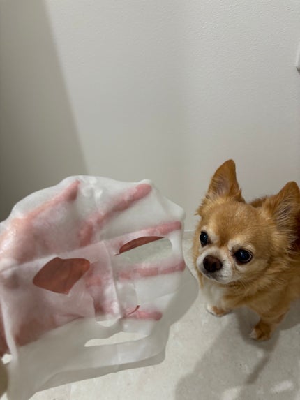 弱酸性pHシートマスク 柚子フィット/Abib /シートマスク・パックを使ったクチコミ(4枚目)