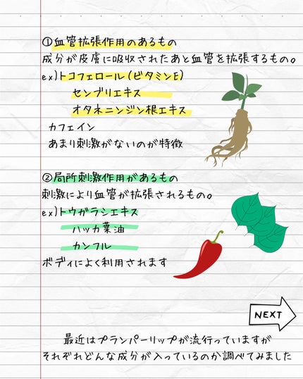 エッセンス リッププランパー/Visée/リッププランパーを使ったクチコミ(3枚目)