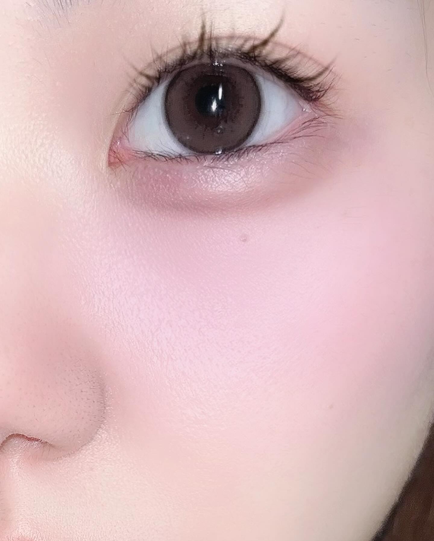 エバーカラーワンデー ナチュラル/エバーカラー/ワンデー（１DAY）カラコンを使ったクチコミ（2枚目）