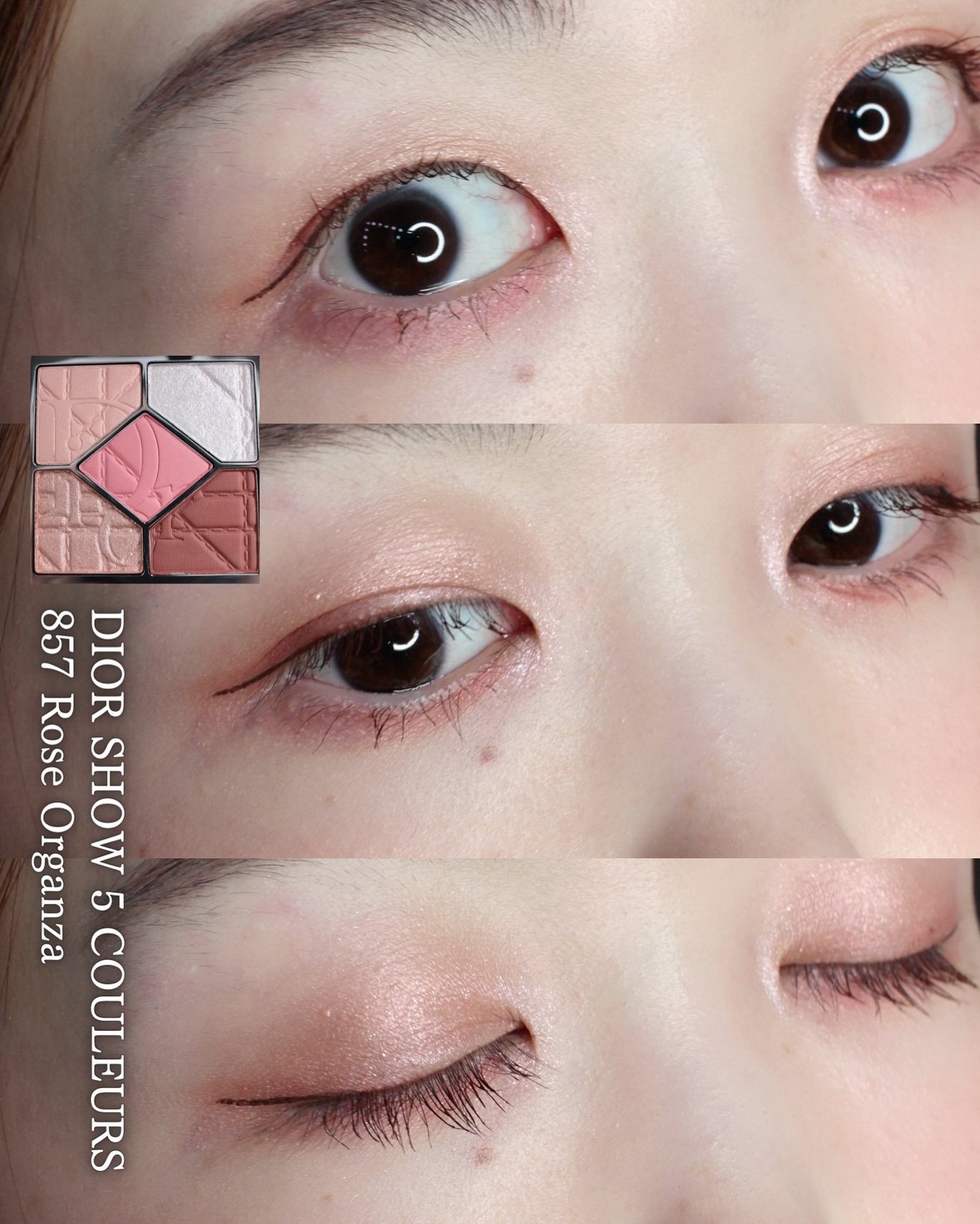 【旧】ディオールショウ サンク クルール（限定品）/Dior/アイシャドウを使ったクチコミ（3枚目）