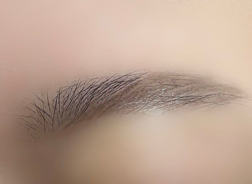 眉墨鉛筆/SHISEIDO/アイブロウペンシルを使ったクチコミ(4枚目)