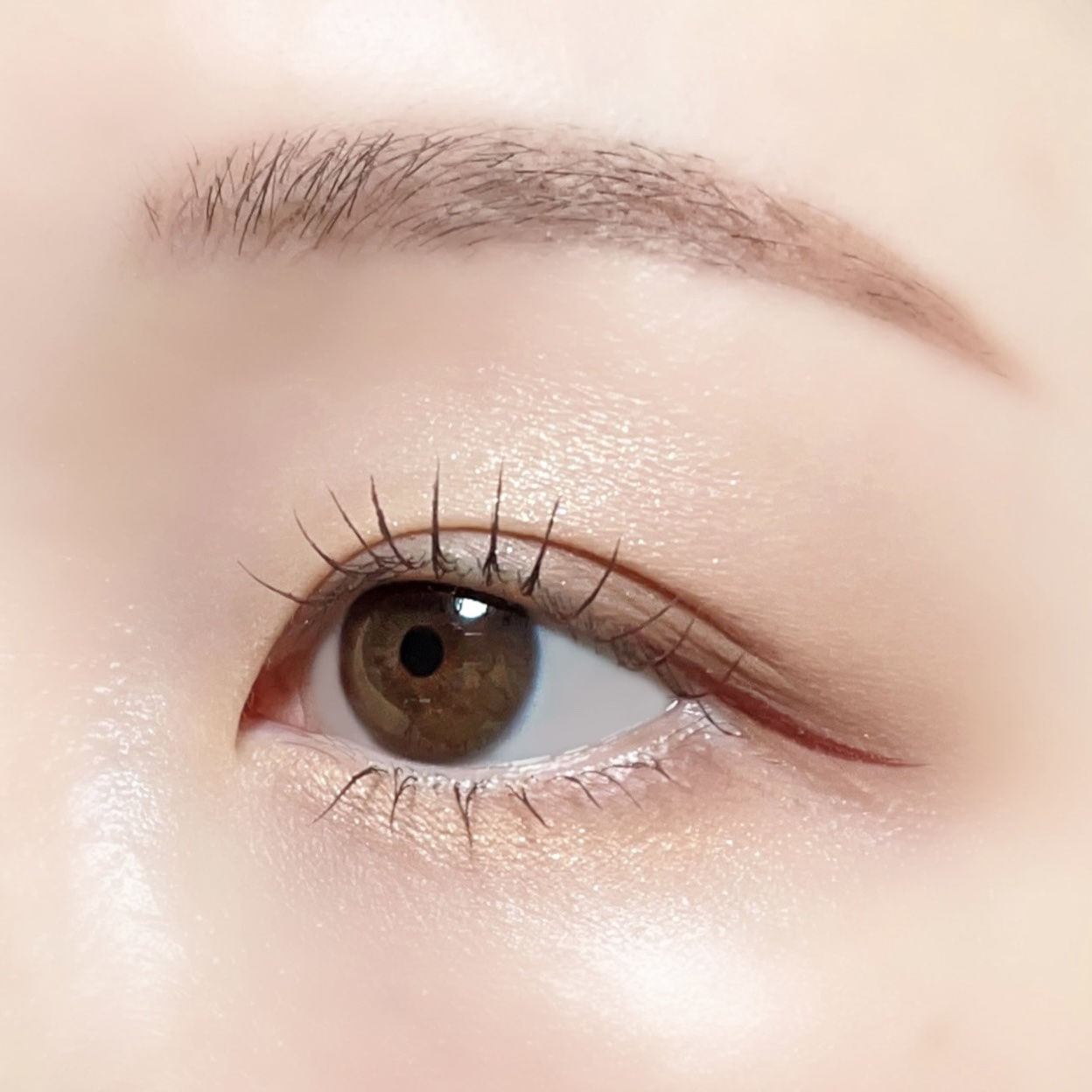 ベターミーアイパレット/2aN/マルチパレットを使ったクチコミ（3枚目）