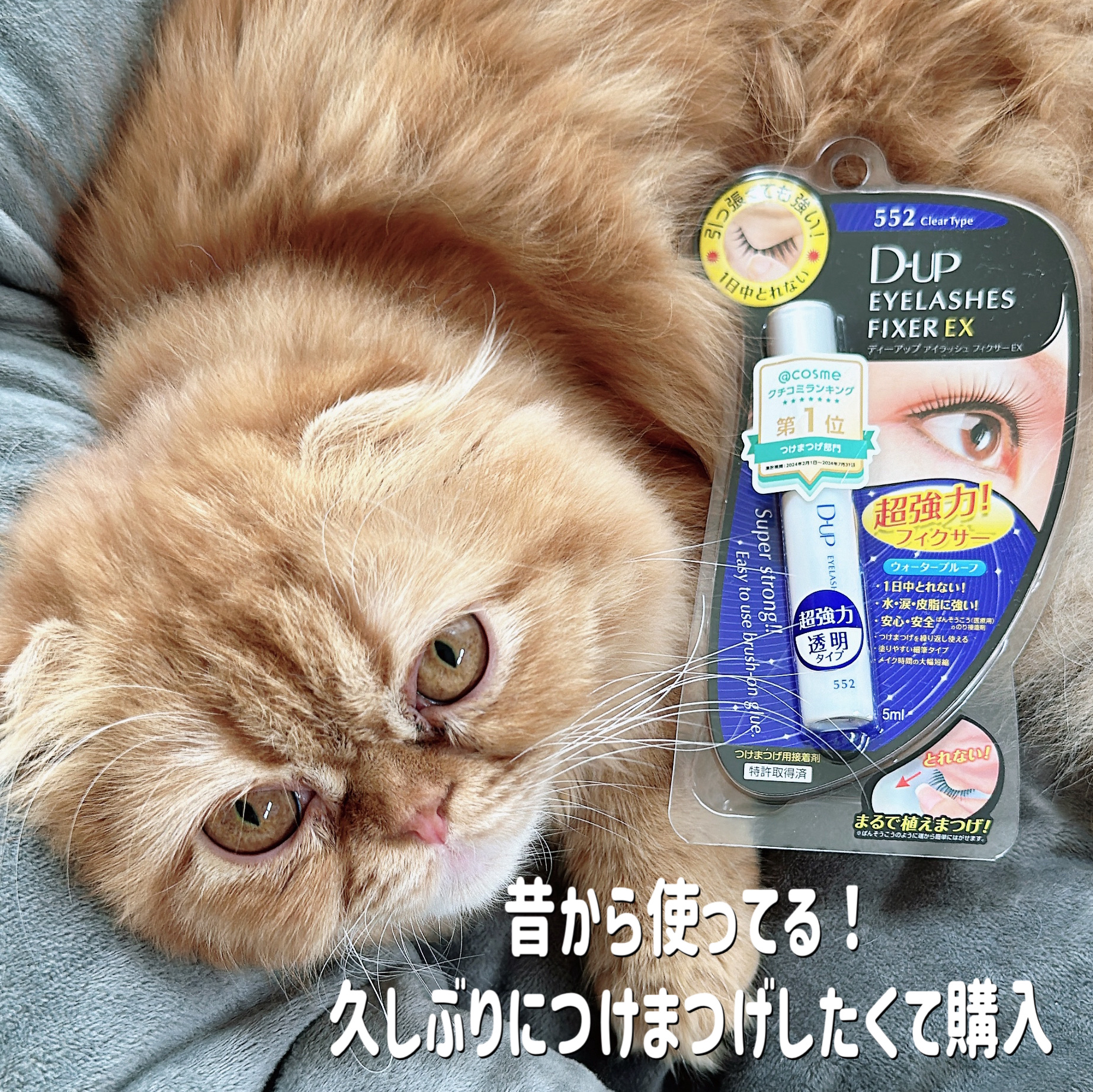 アイラッシュフィクサーEX 552/D-UP/つけまつげを使ったクチコミ（1枚目）