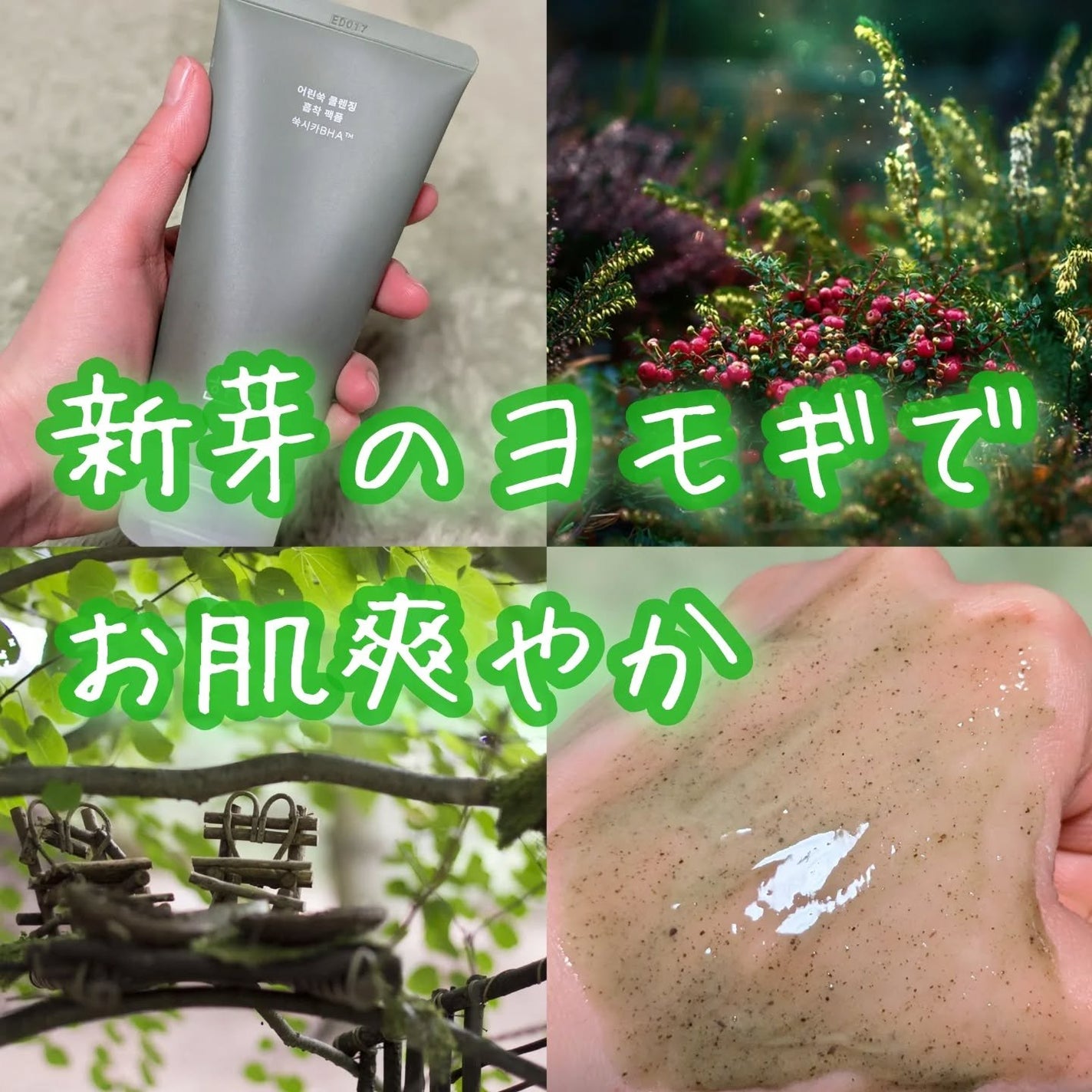 ピュア アルテミシア ディープ クラリファイングマスク トゥ フォーム クレンザー/HANYUL(ハンユル)/クレンジングを使ったクチコミ(1枚目)