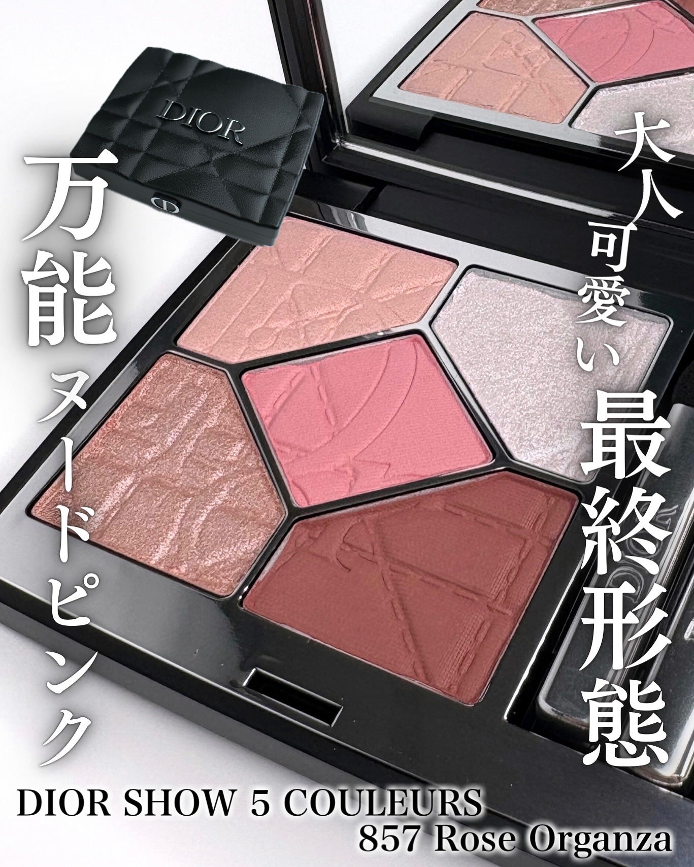 【旧】ディオールショウ サンク クルール(限定品)/Dior/アイシャドウを使ったクチコミ(1枚目)