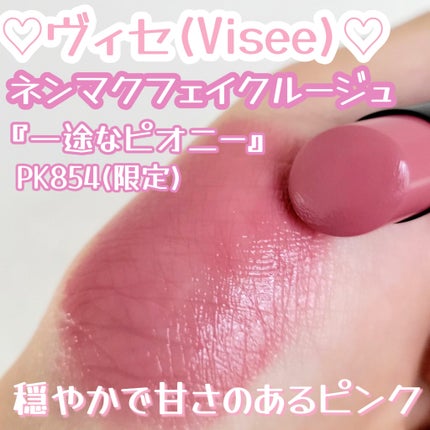 ネンマクフェイク ルージュ/Visée/口紅を使ったクチコミ(1枚目)