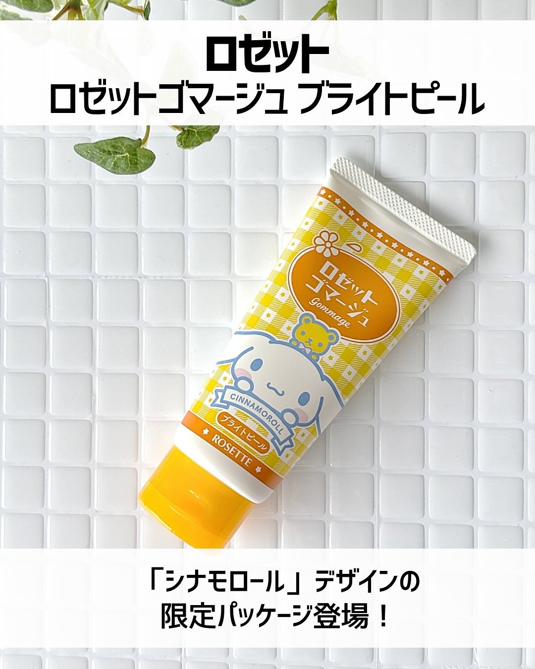 ロゼットゴマージュ ブライトピール ［洗浄料］ シナモロール数量限定デザイン（120g）/ロゼット/スクラブ・ゴマージュを使ったクチコミ（2枚目）