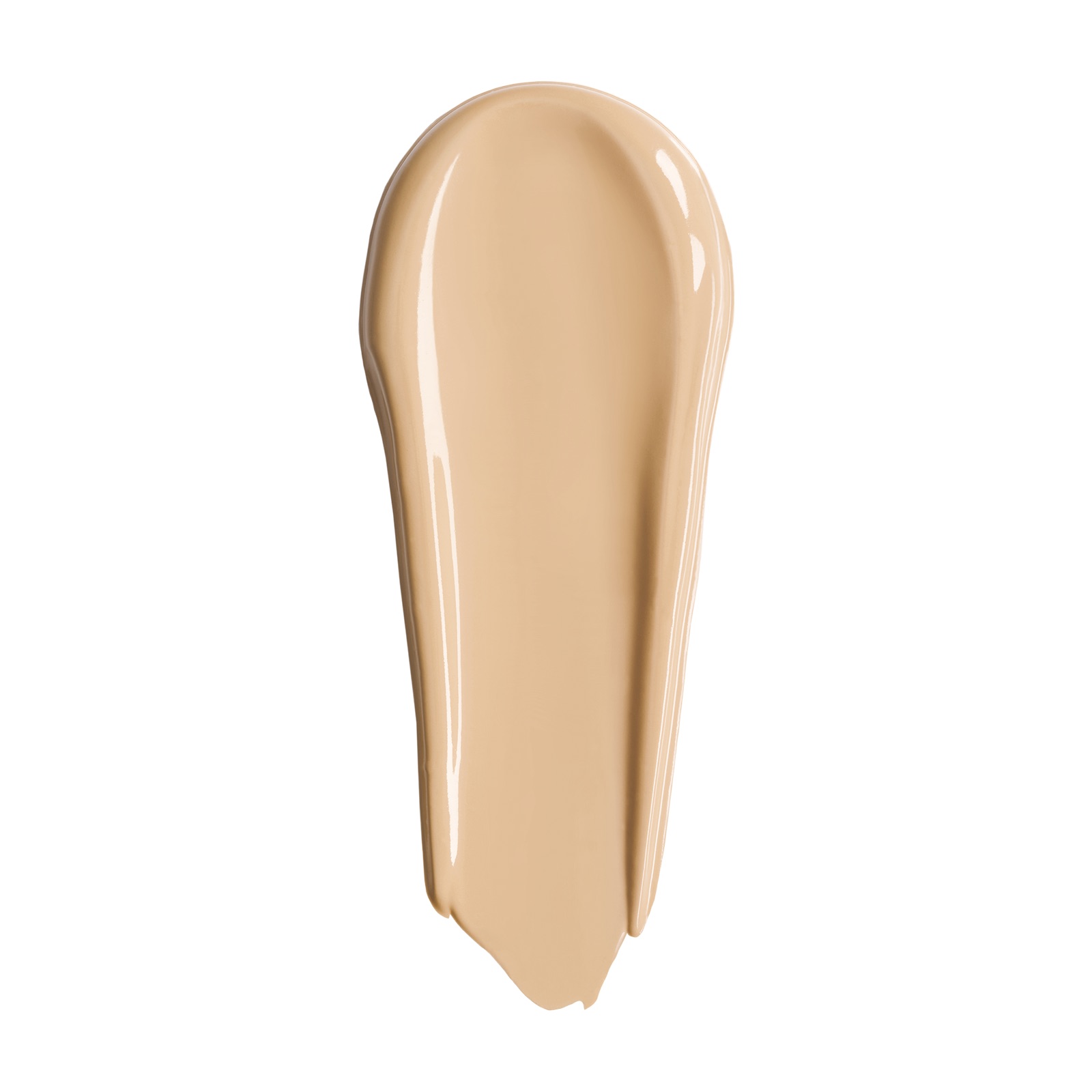 HDスキン フルカバー コンシーラー 1N10