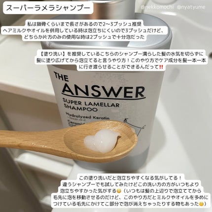 THE ANSWER EXケア&コート オイル/THE ANSWER/ヘアオイルを使ったクチコミ(3枚目)