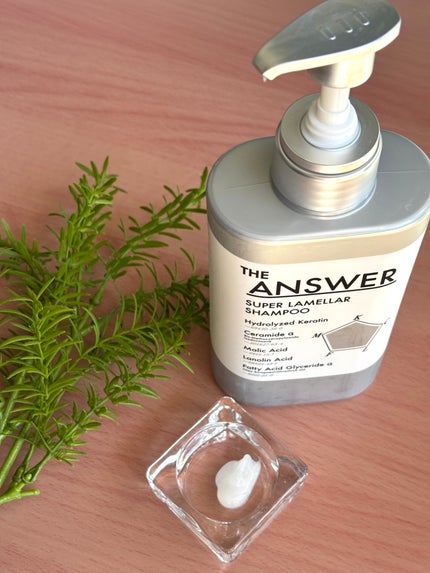 THE ANSWER スーパーラメラシャンプー/THE ANSWER/市販シャンプーを使ったクチコミ(1枚目)