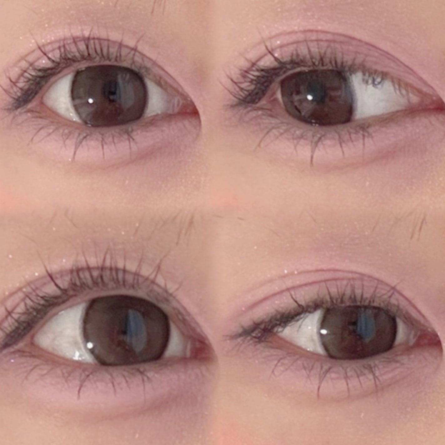 エバーカラーワンデー ナチュラル/エバーカラー/ワンデー(1DAY)カラコンを使ったクチコミ(2枚目)