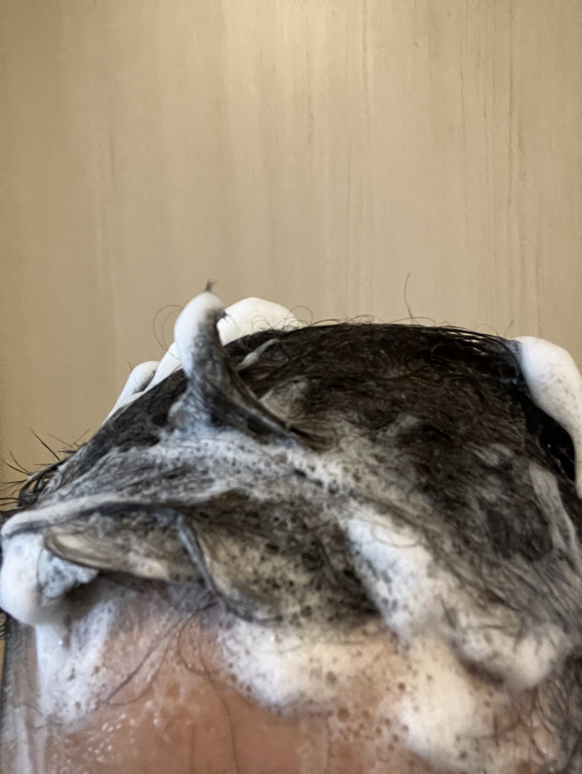 フルバブリングスカルプシャンプー/SAM'U/頭皮ケアを使ったクチコミ（3枚目）