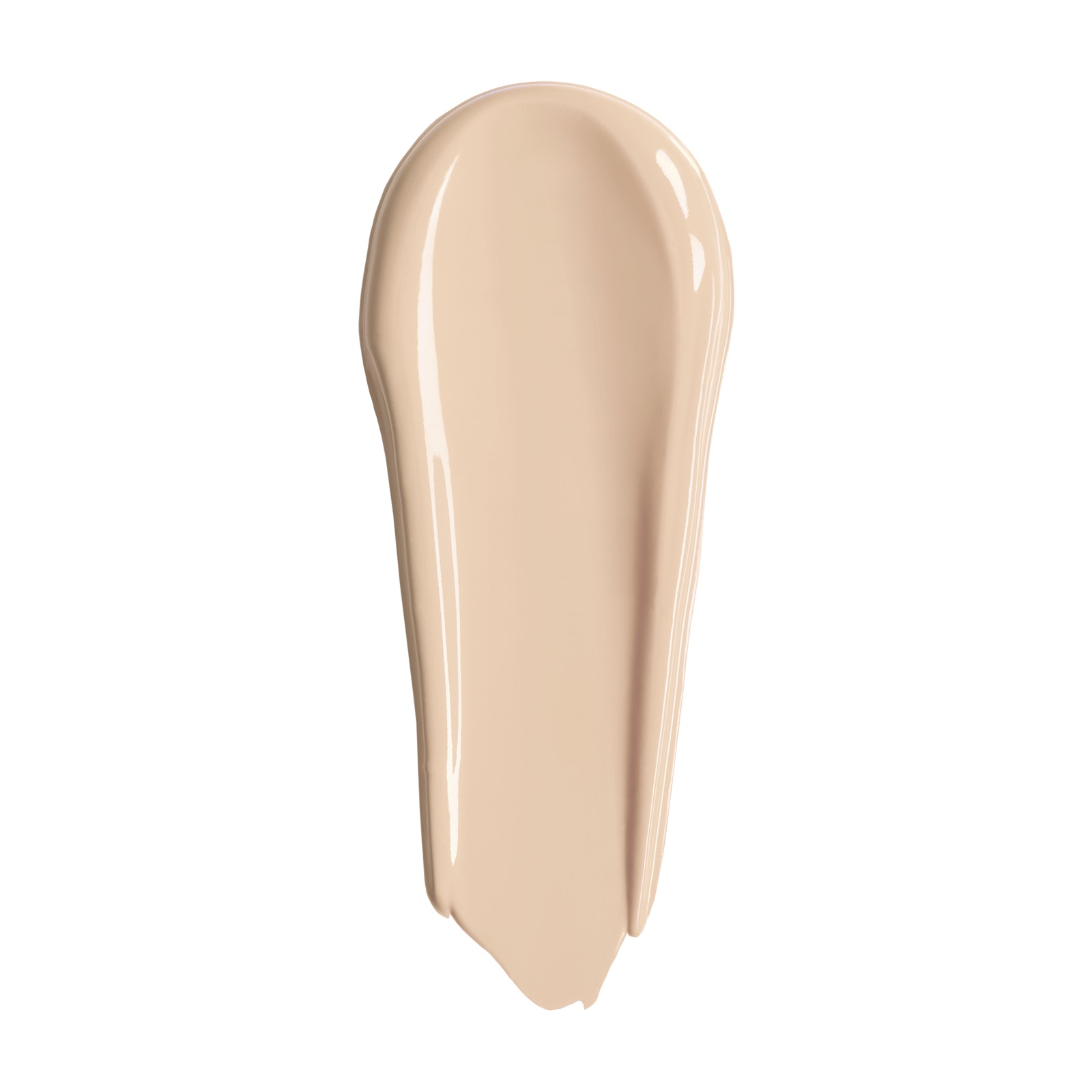 HDスキン フルカバー コンシーラー 1N02