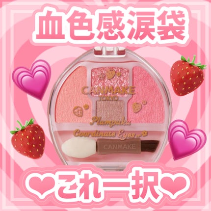 プランぷくコーデアイズ/キャンメイク/パウダーアイシャドウを使ったクチコミ(1枚目)
