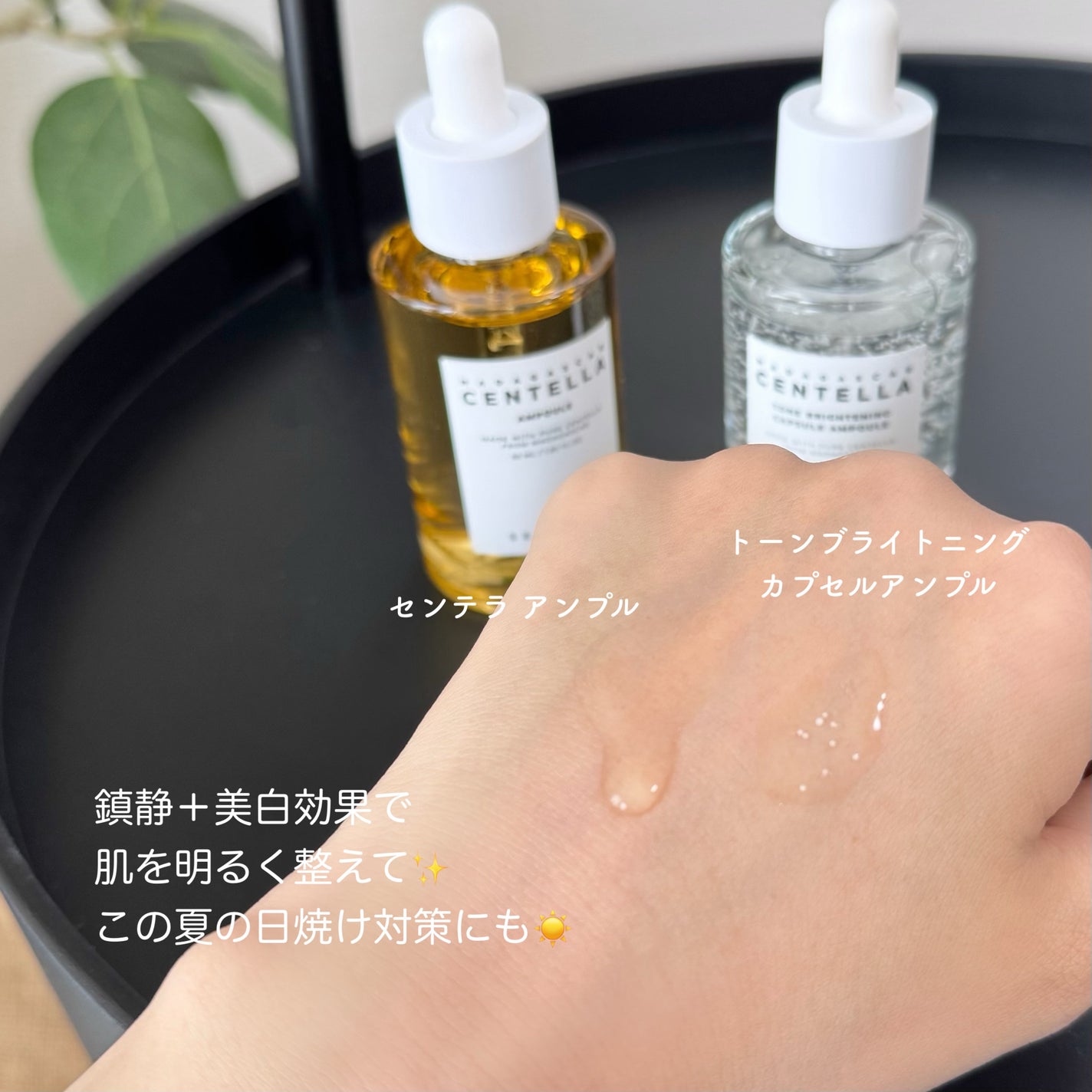 センテラ アンプル/SKIN1004/美容液を使ったクチコミ(2枚目)