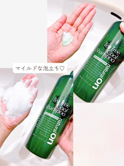 ナチュラルオンティツリークール シャンプー+トリートメント/デンギモリ/市販シャンプーを使ったクチコミ(3枚目)