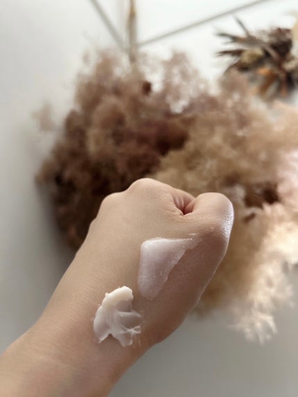 プロバイオダーム リフティング クリーム/BIOHEAL BOH/フェイスクリームを使ったクチコミ(2枚目)