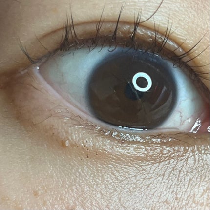 ミゼルエディ カールアップマスカラ ロング/ミゼルエディ/マスカラを使ったクチコミ(4枚目)