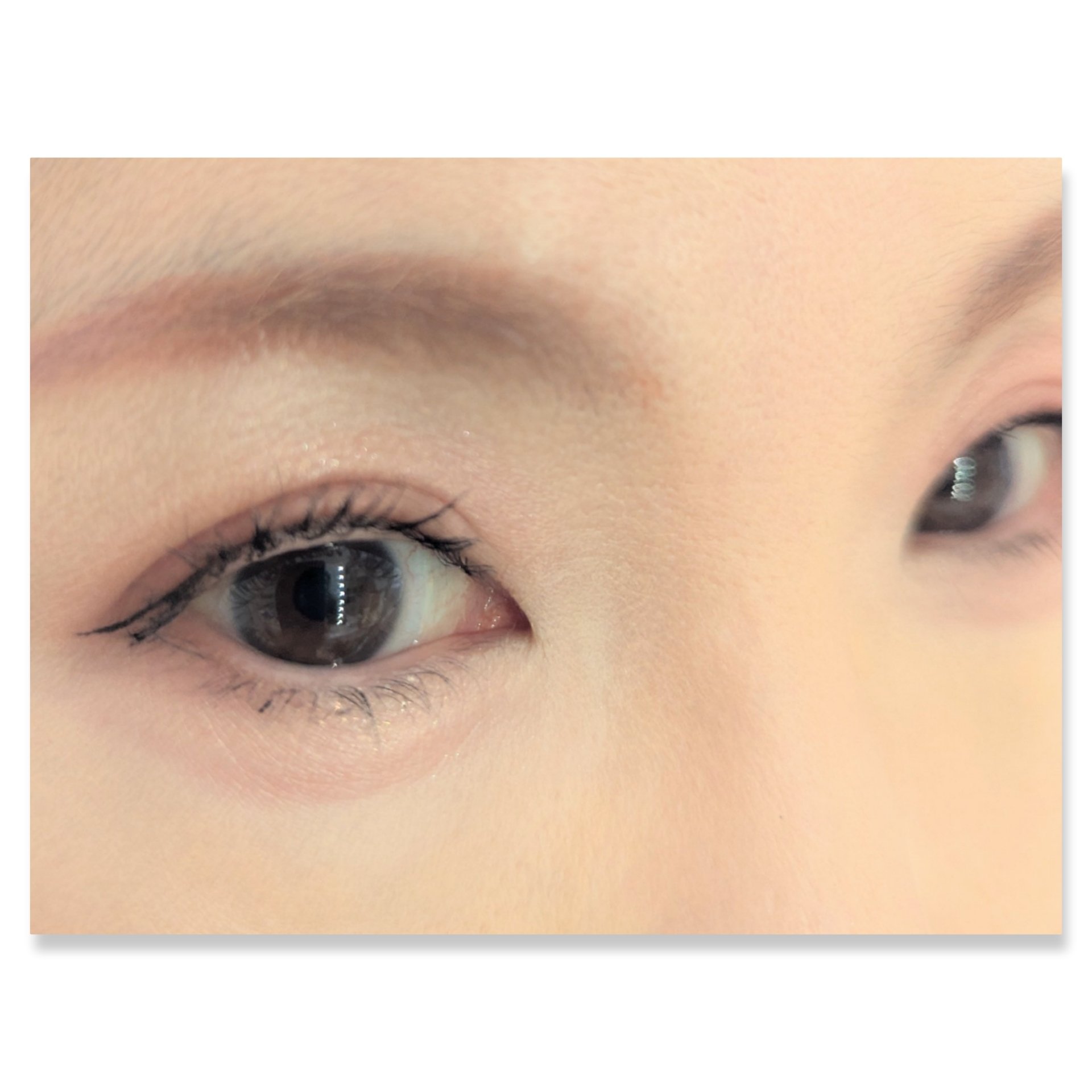 パノラマデザイン アイパレット/Visée/アイシャドウパレットを使ったクチコミ（2枚目）