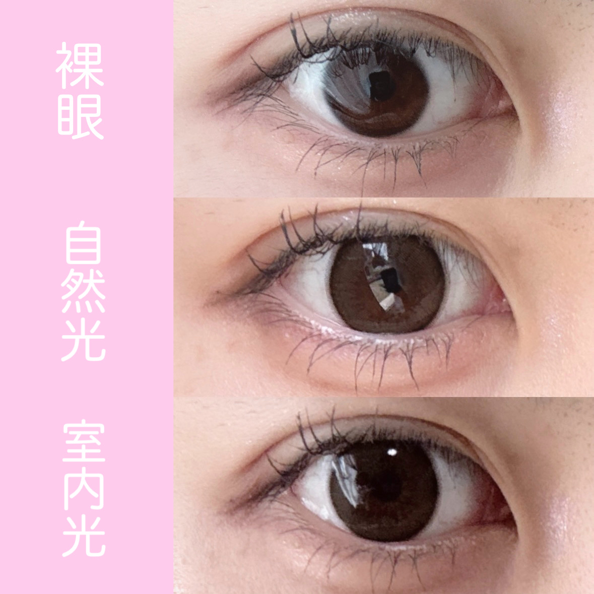 エバーカラーワンデー ナチュラル/エバーカラー/ワンデー（１DAY）カラコンを使ったクチコミ（3枚目）