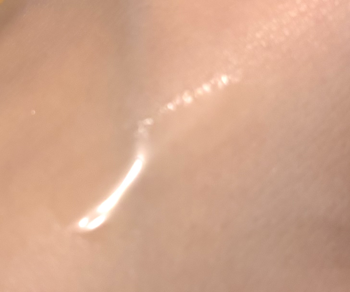 ジンクテカBセラムセット/BRING GREEN/スキンケアキットを使ったクチコミ（3枚目）