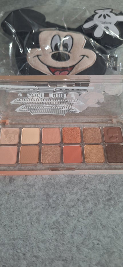 プロ アイ パレット エアー/CLIO/アイシャドウパレットを使ったクチコミ(3枚目)