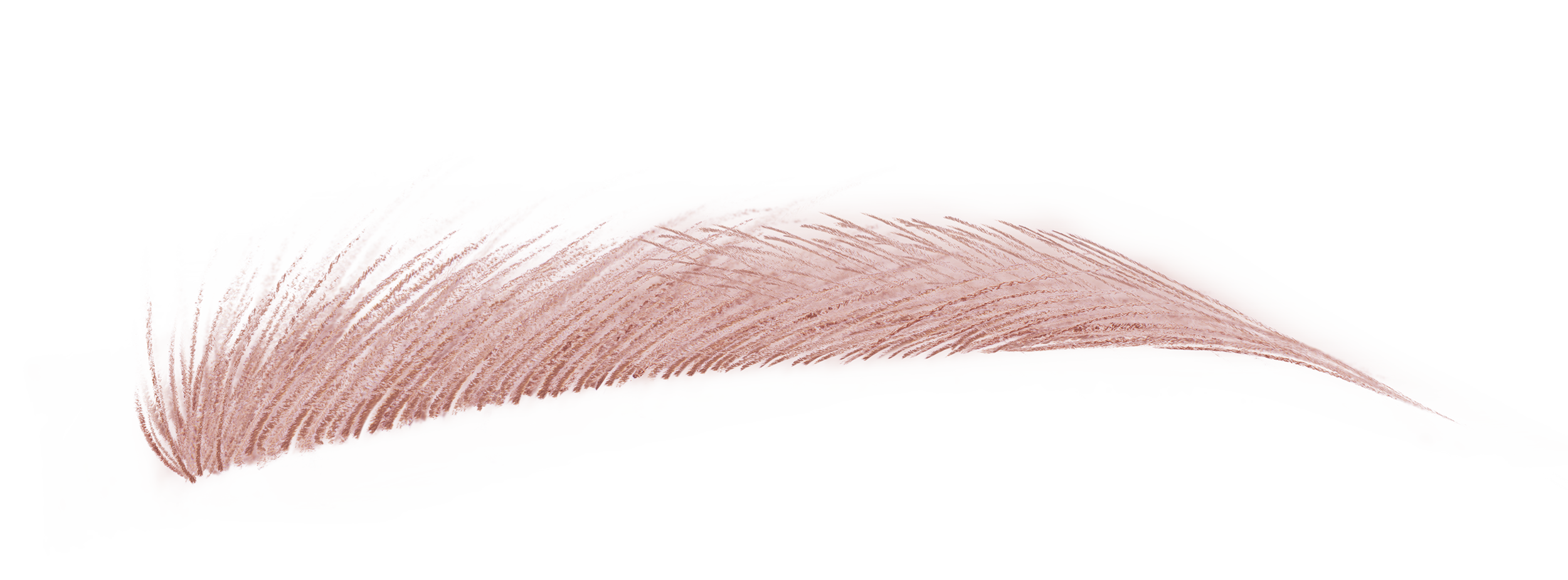 ハード フォーミュラ ハード 9 チェスナット ブラウン 13