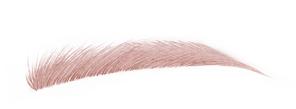 チェスナット ブラウン 13