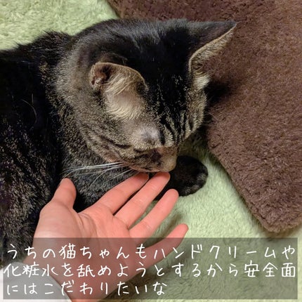 ハンドクリーム/ねこすきん/ハンドクリームを使ったクチコミ(5枚目)