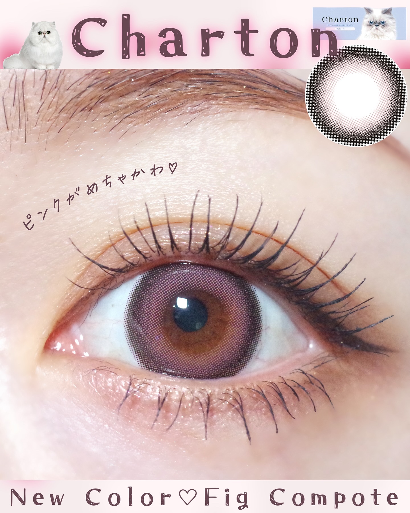 Charton 1day/Charton/ワンデー（１DAY）カラコンを使ったクチコミ（1枚目）