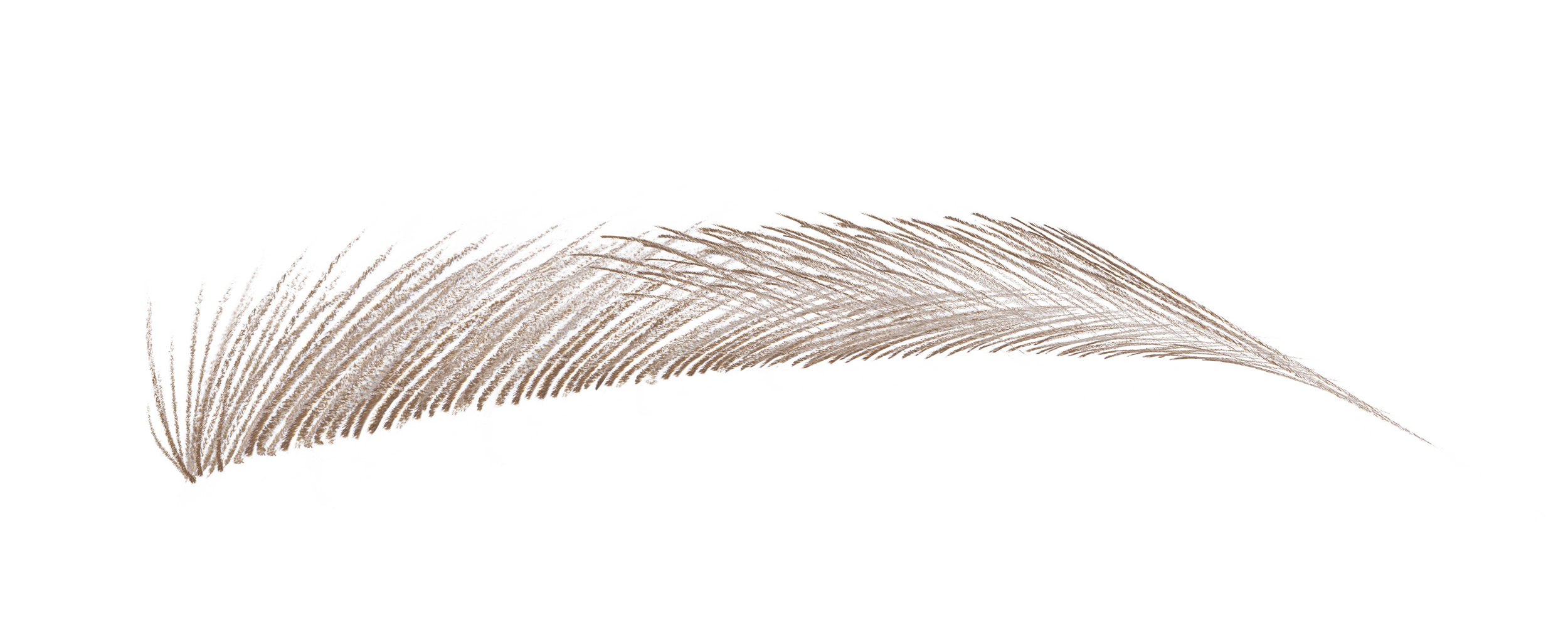 ニードル ブロー ウォルナット ブラウン（限定色）