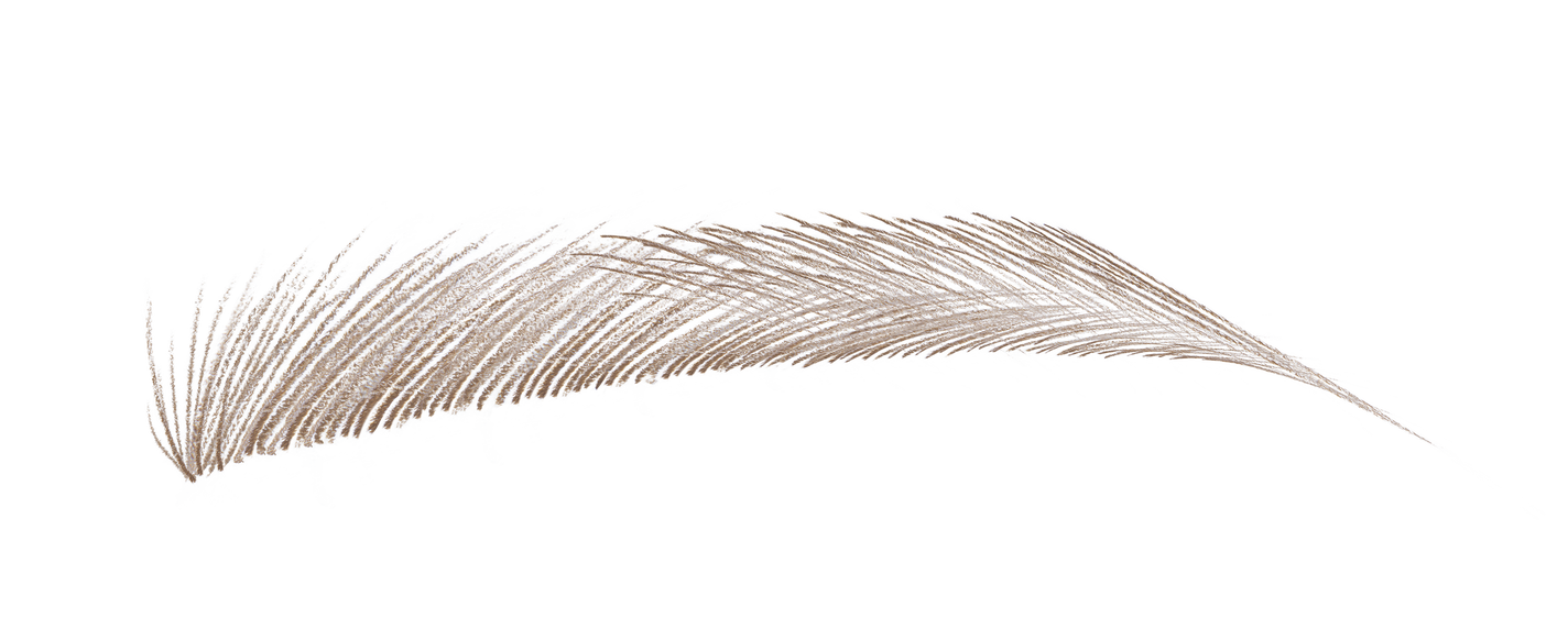 ニードル ブロー ウォルナット ブラウン(限定色)