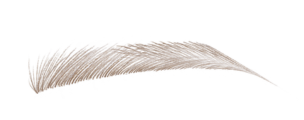 ウォルナット ブラウン(限定色)