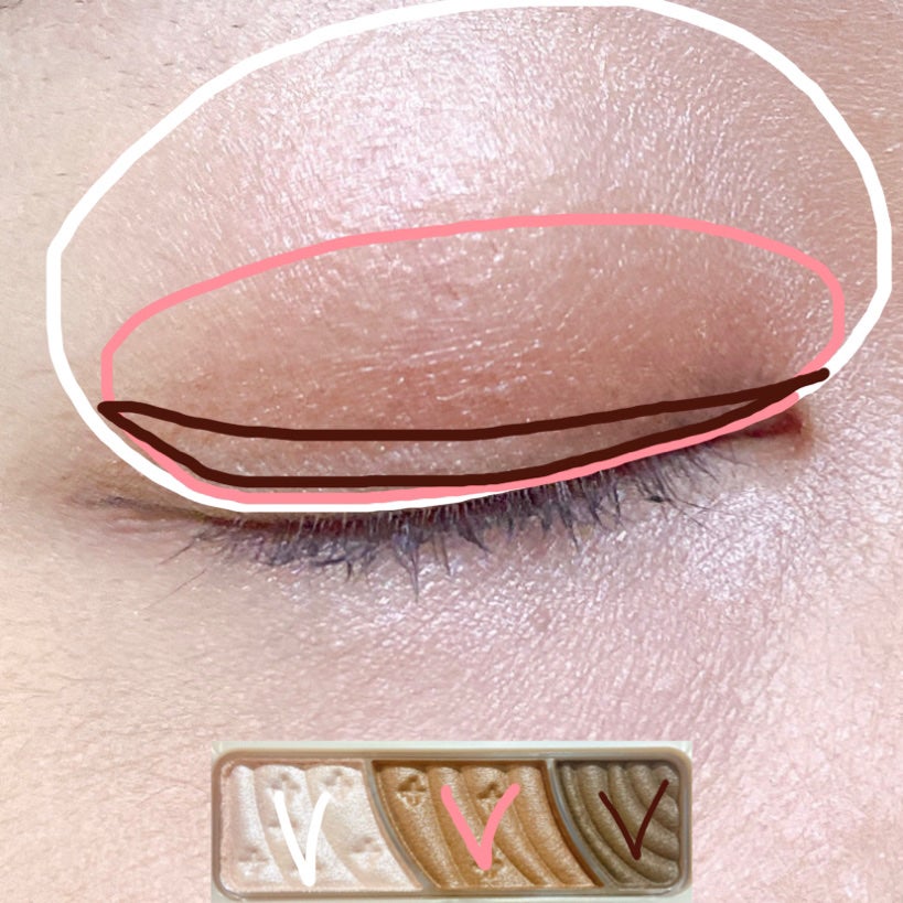 トーンアップアイシャドウ/CEZANNE/アイシャドウパレットを使ったクチコミ(3枚目)