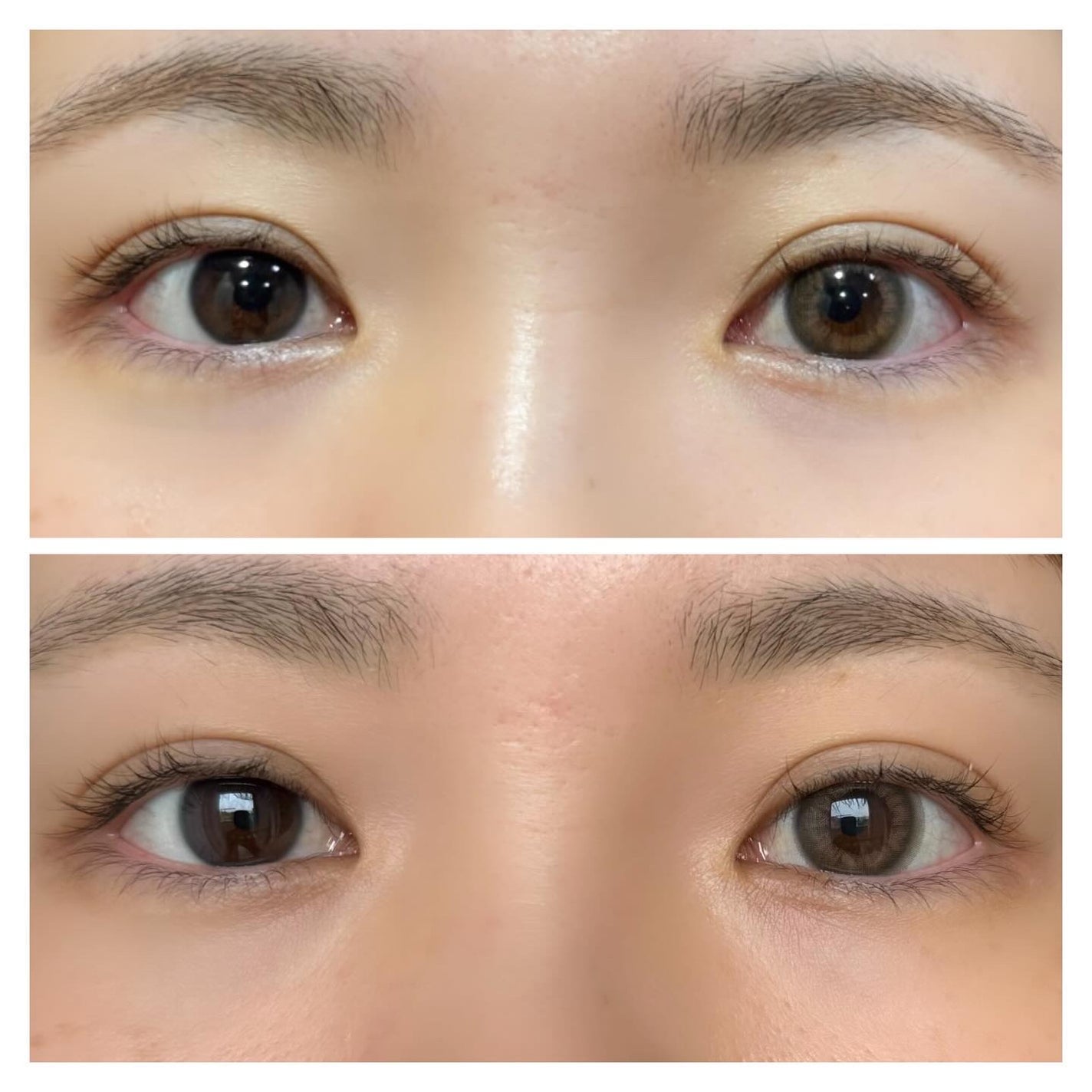 リッチアン/ANN365LENS/カラーコンタクトレンズを使ったクチコミ(5枚目)