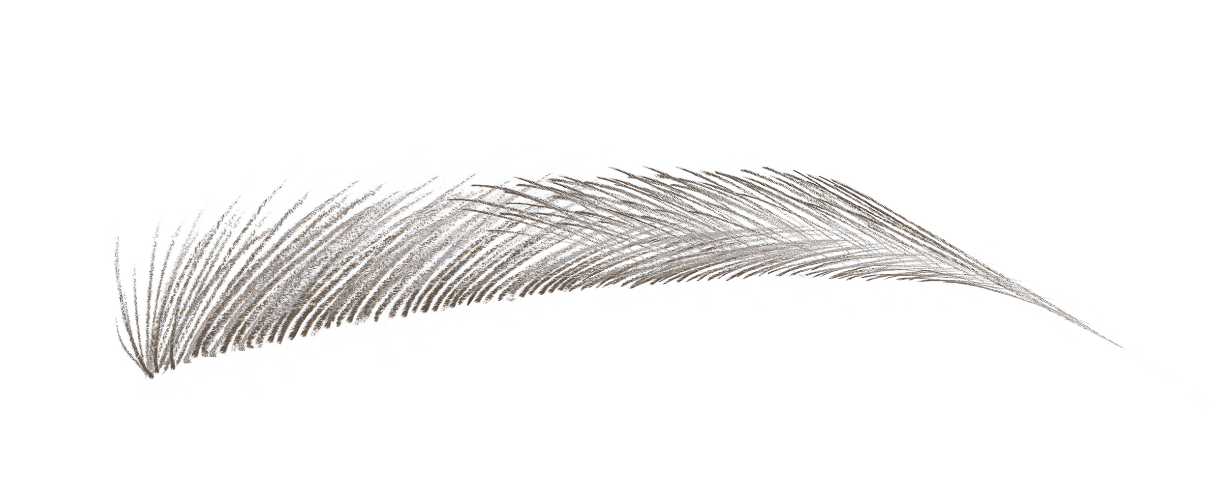 ニードル ブロー ストーン グレイ