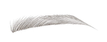 ストーン グレイ