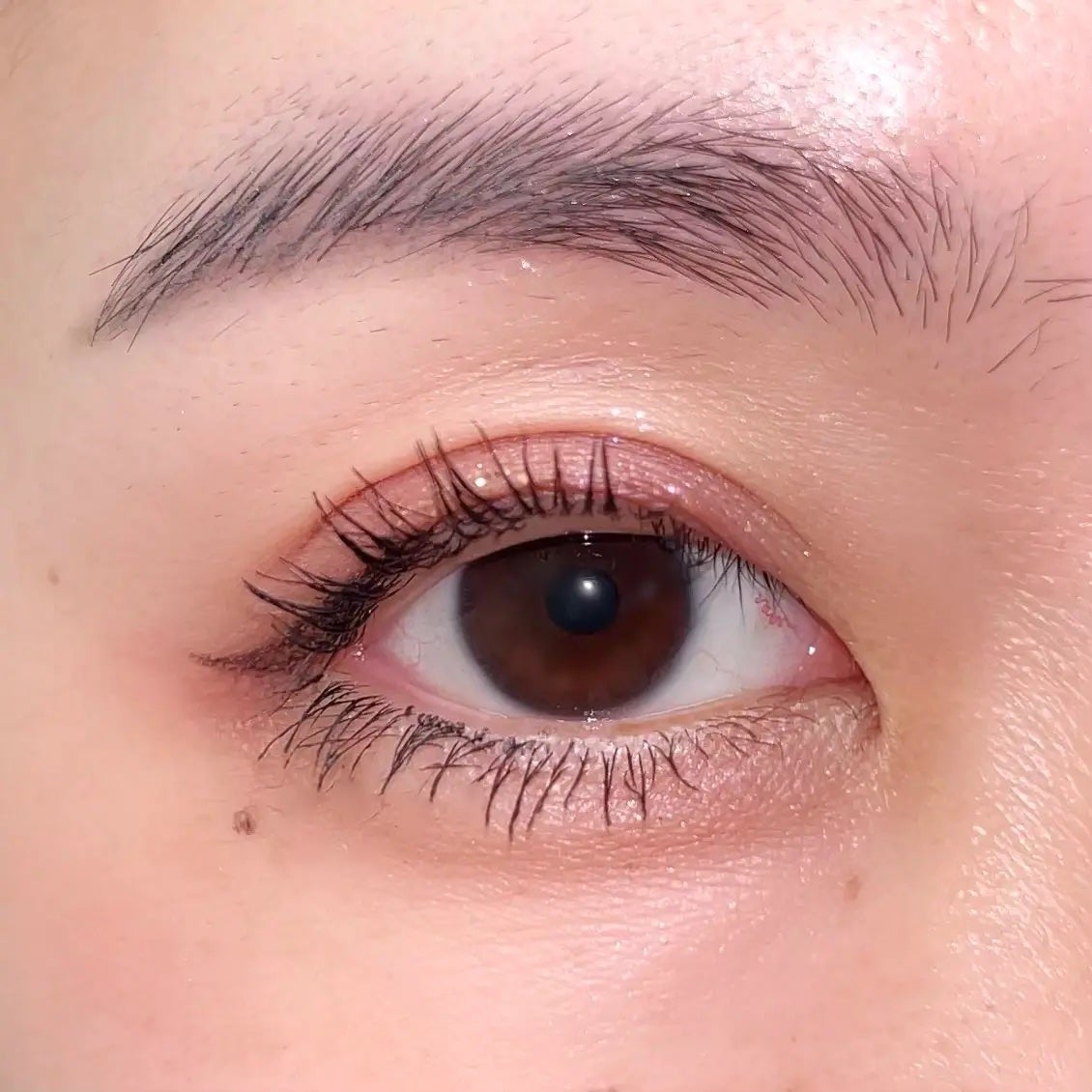 MD ドリーミーグリッター/mude/グリッターを使ったクチコミ(3枚目)