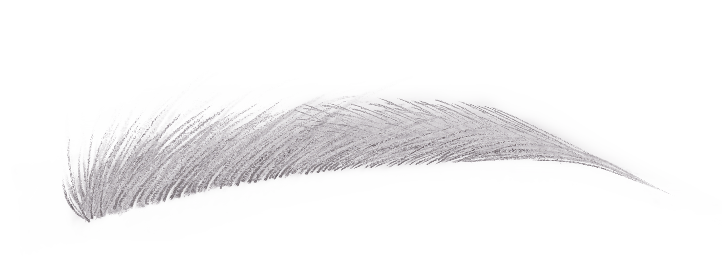 ハード フォーミュラ ハード 9 アッシュ グレイ 14