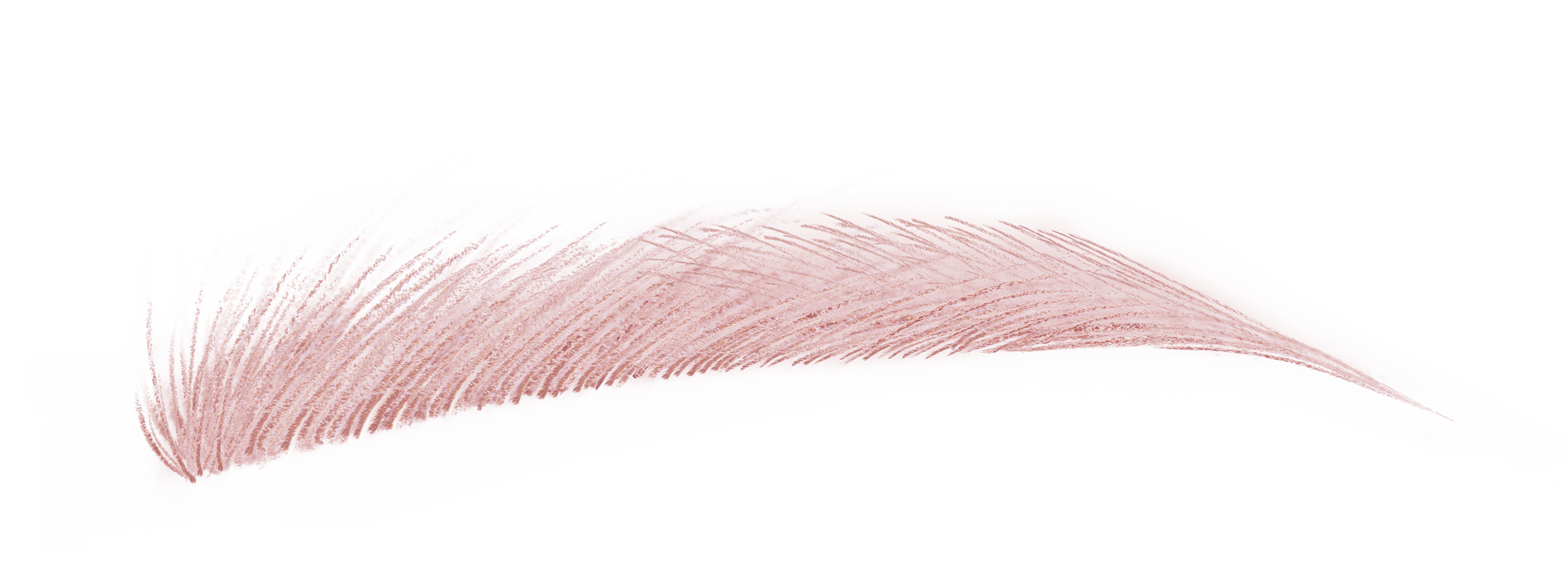 ハード フォーミュラ ハード 9 ダスティ ローズ 16