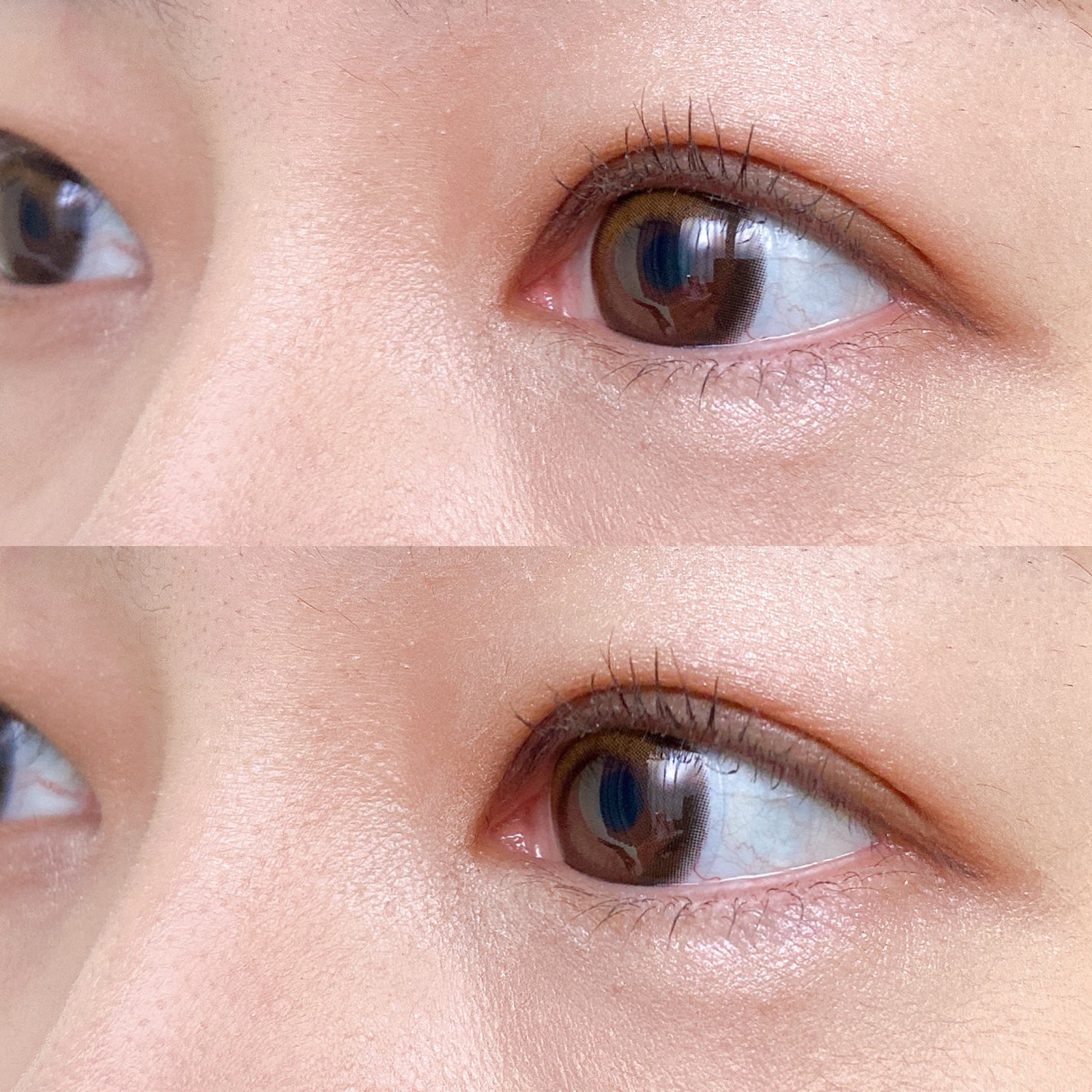 トーンアップアイシャドウ/CEZANNE/アイシャドウパレットを使ったクチコミ(5枚目)