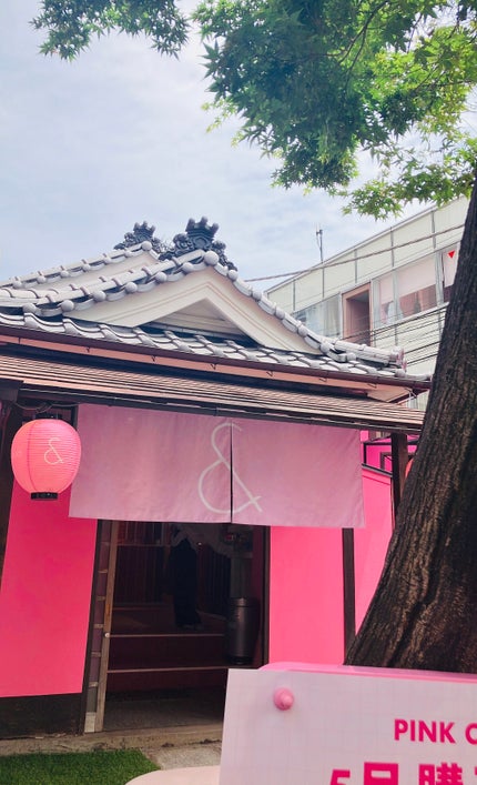 めい on LIPS 「#はじける果実感コスメ#ロムアンド#ピンクオフィス✂ーーーーー..」(10枚目)