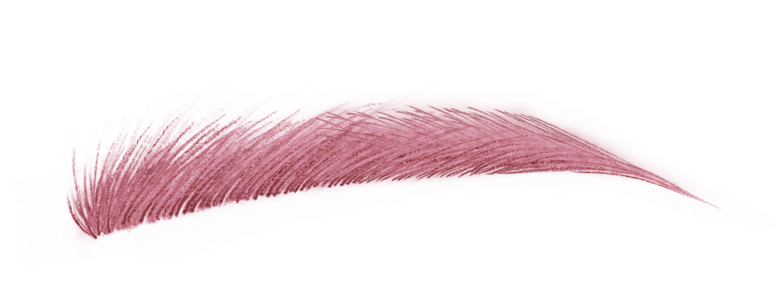 ハード フォーミュラ ハード 9 シュウ シグネチャーレッド 18