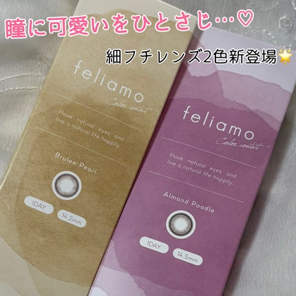 feliamo 1day/feliamo/ワンデー(1DAY)カラコンを使ったクチコミ(1枚目)