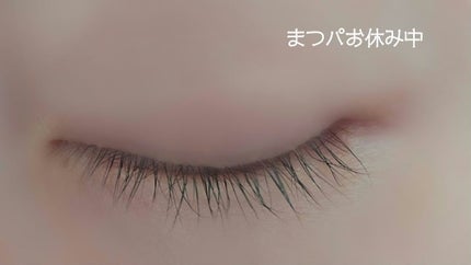 アイラッシュセラム/Bio Lucia(ビオルチア)/まつげ美容液を使ったクチコミ(3枚目)