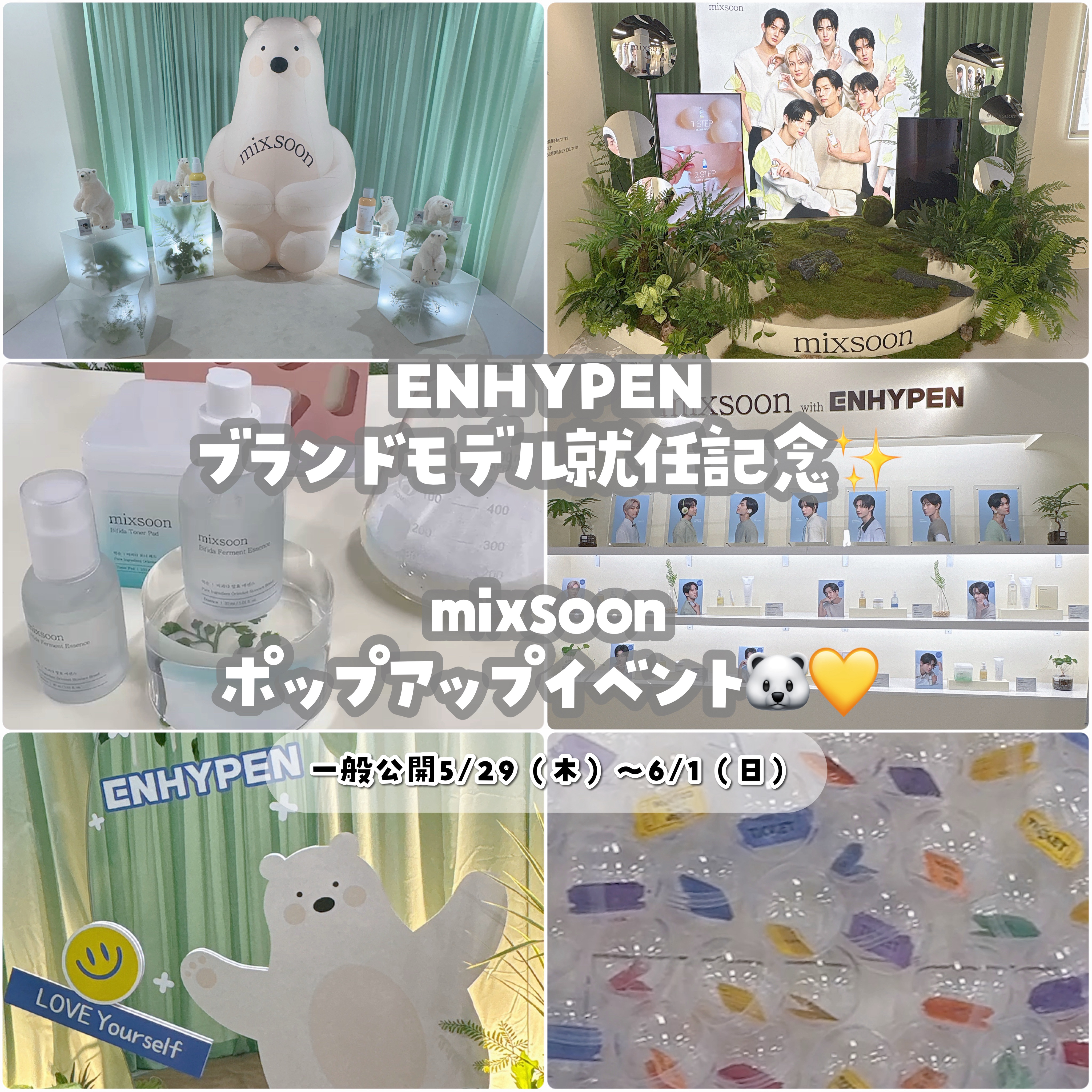 大豆エッセンス/mixsoon/美容液を使ったクチコミ（1枚目）