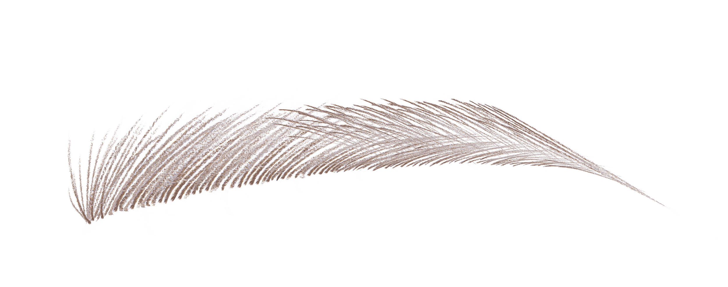 ニードル ブロー シール ブラウン