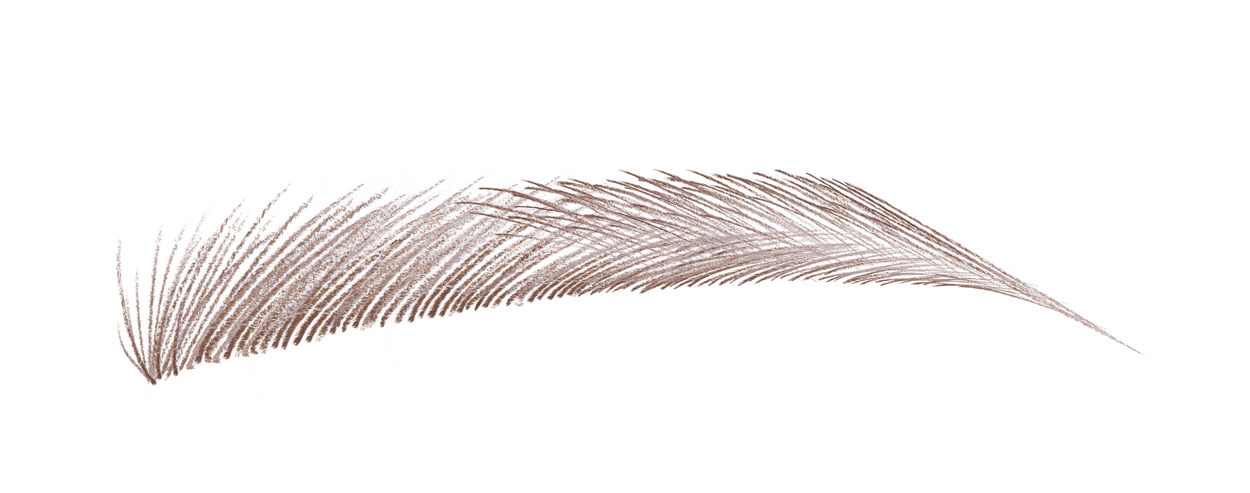 ニードル ブロー エイコーン